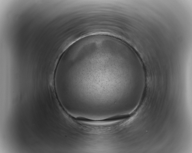 X0000088691521200706071509