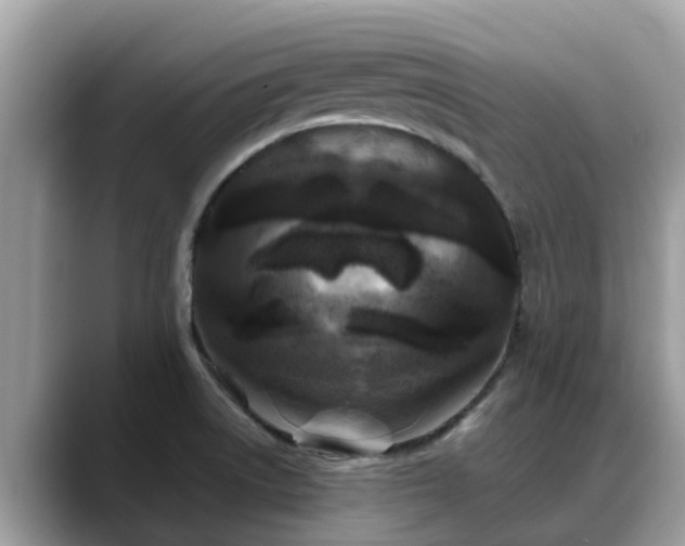 X0000088691522200706071509
