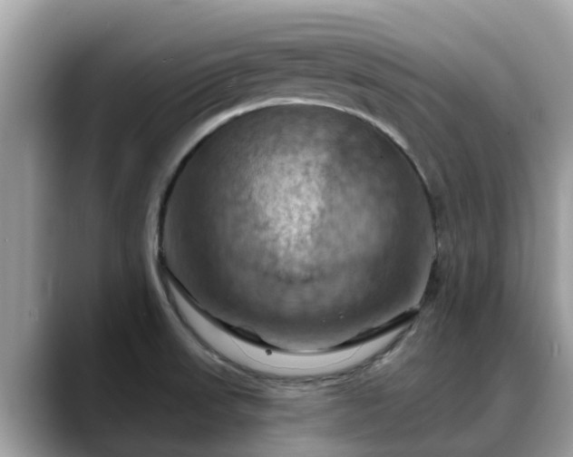 X0000088691523200706071509