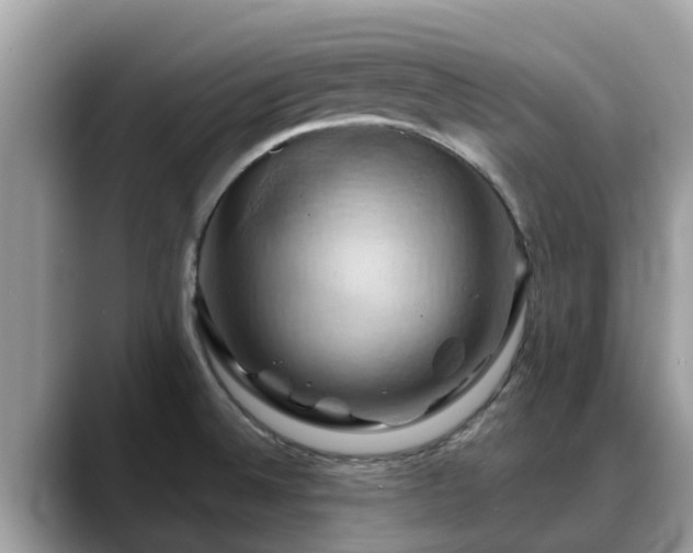 X0000088691524200706071509