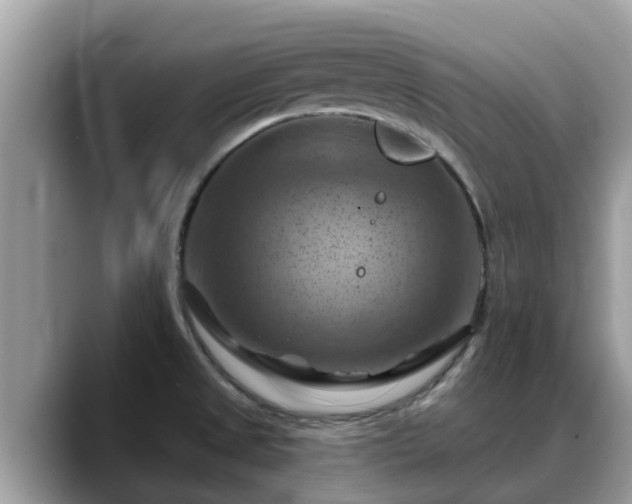 X0000088691525200706071509