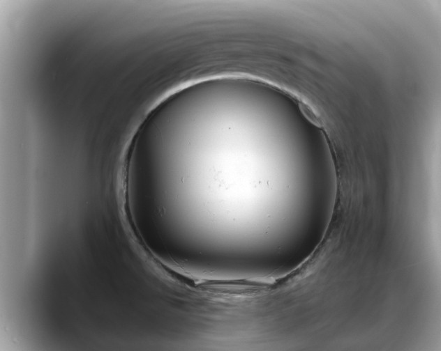 X0000088691526200706071509