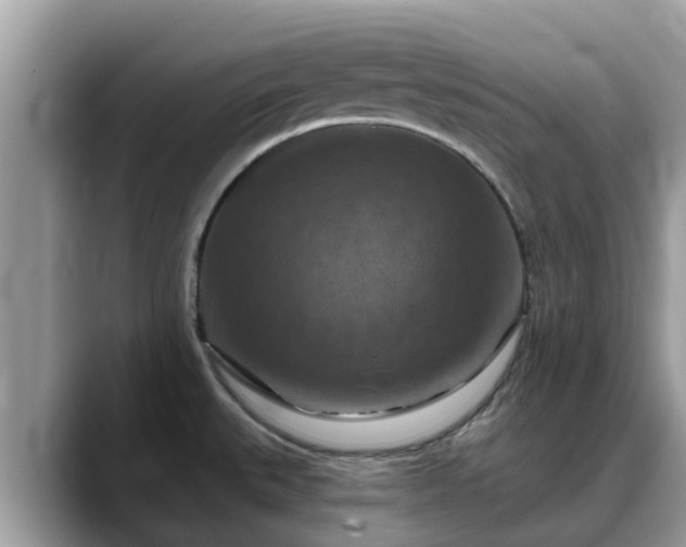 X0000088691527200706071509