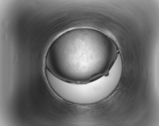 X0000088691528200706071509