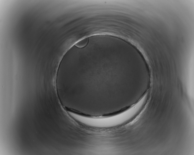 X0000088691529200706071509