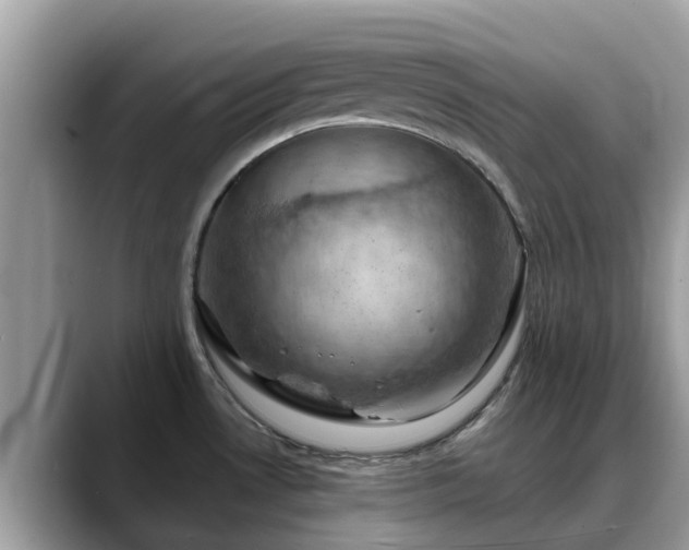 X0000088691530200706071509