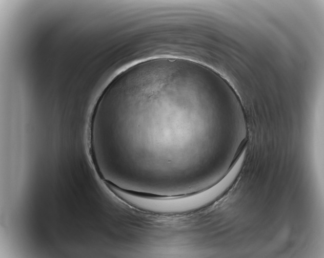 X0000088691531200706071509