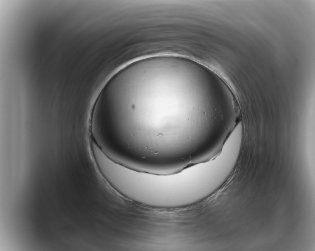 X0000088691532200706071509