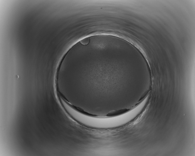 X0000088691533200706071509