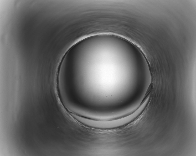 X0000088691534200706071509