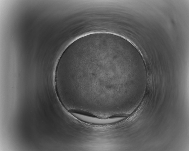 X0000088691535200706071509
