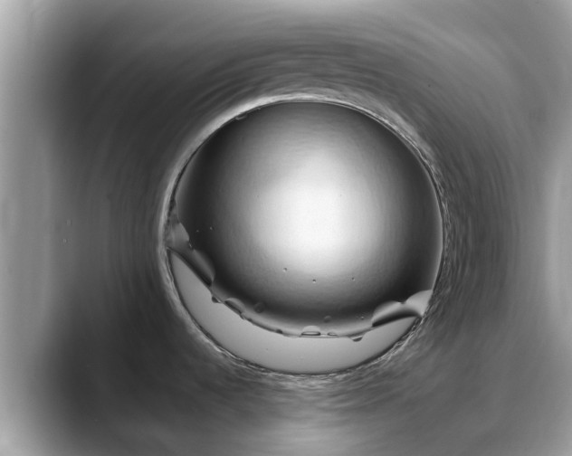 X0000088691536200706071509