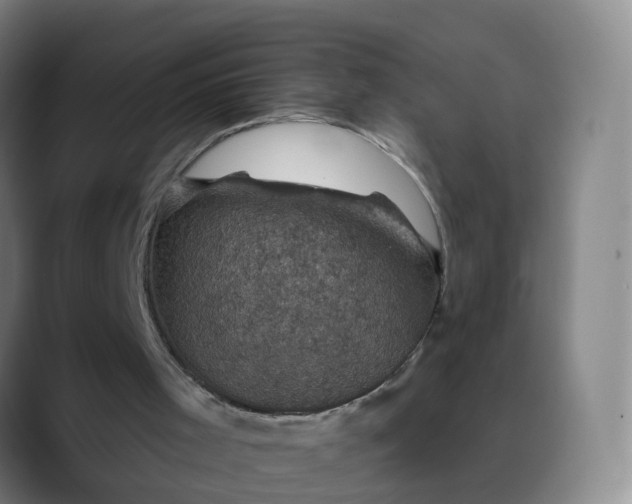 X0000088690001200706141420
