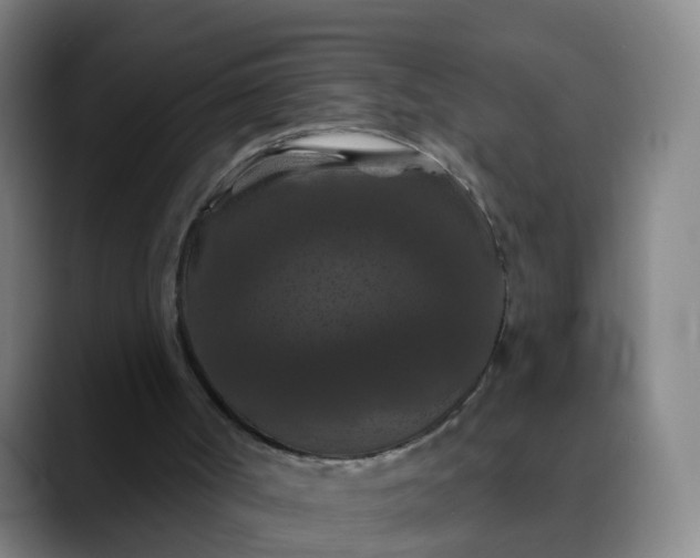 X0000088690002200706141420