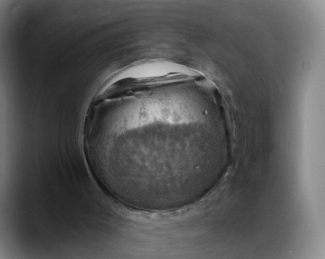 X0000088690003200706141420