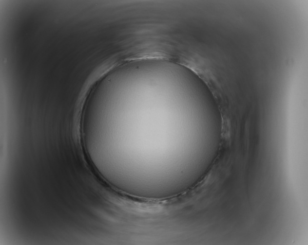 X0000088690004200706141420