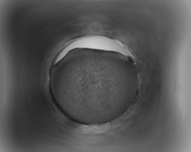 X0000088690005200706141420