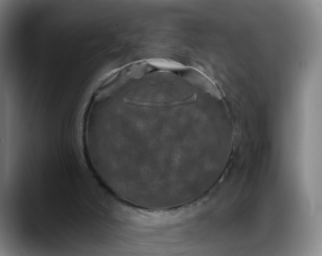X0000088690006200706141420