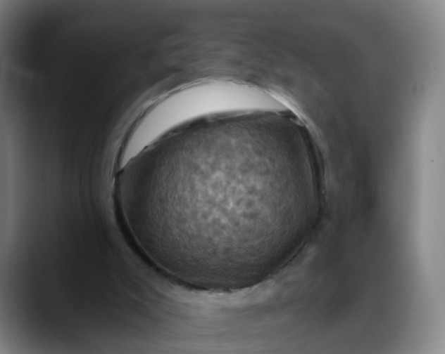 X0000088690007200706141420