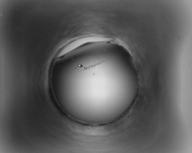 X0000088690008200706141420