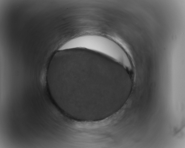 X0000088690009200706141420