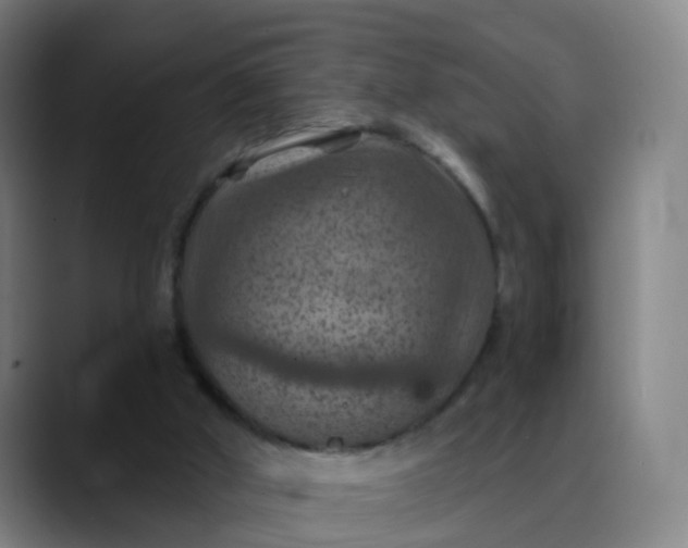 X0000088690010200706141420