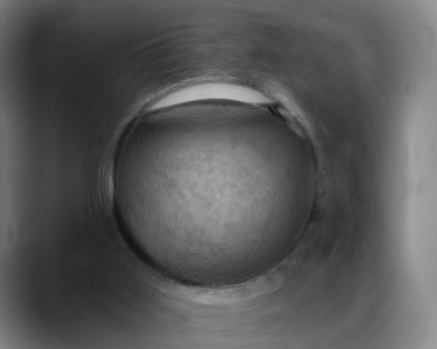 X0000088690011200706141420