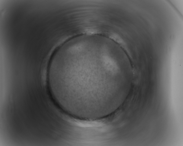 X0000088690012200706141420
