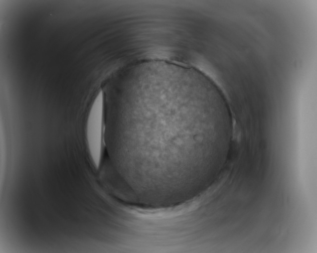 X0000088690013200706141420