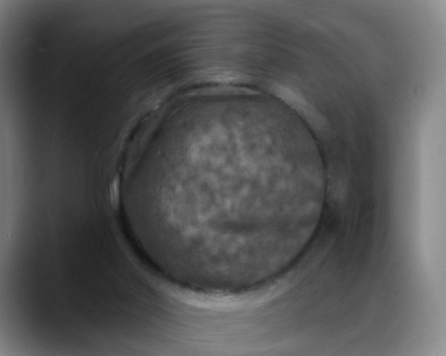 X0000088690014200706141420