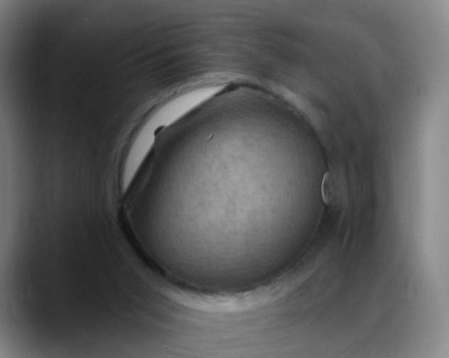 X0000088690015200706141420