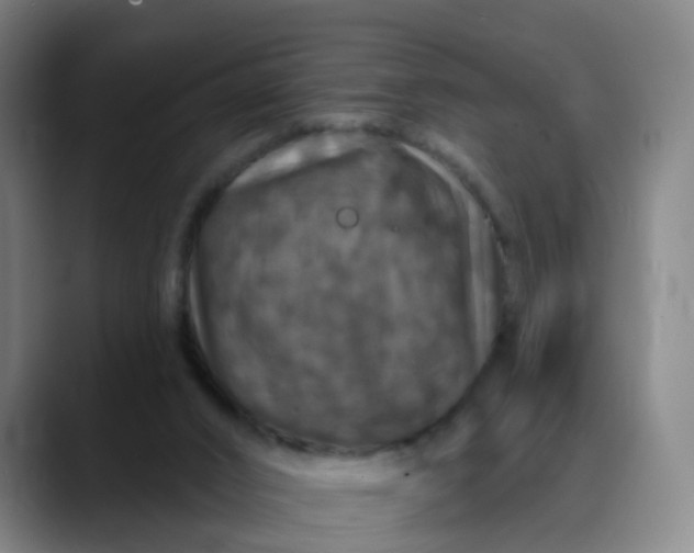 X0000088690016200706141420