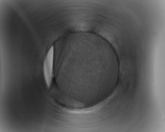 X0000088690017200706141420