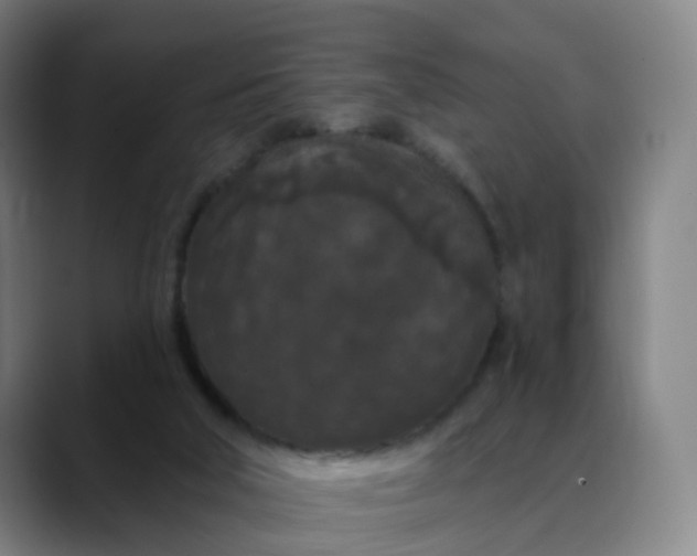 X0000088690018200706141420