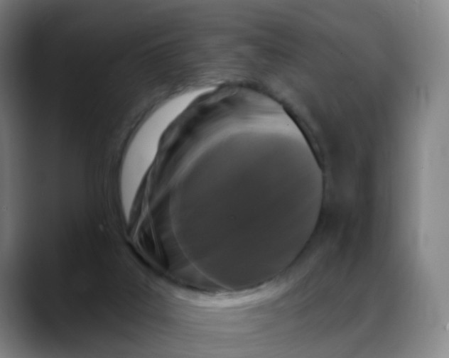 X0000088690019200706141420