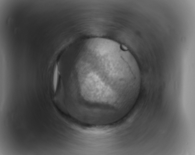 X0000088690020200706141420