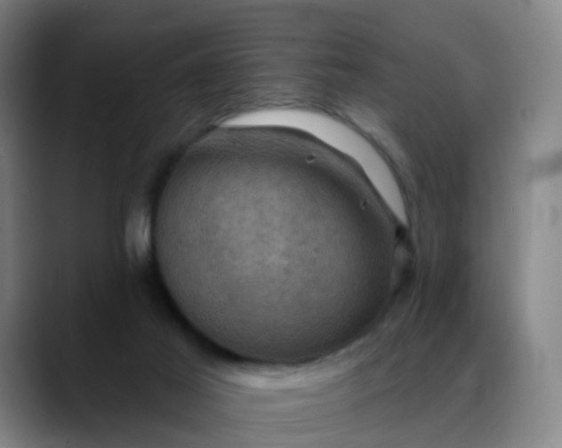 X0000088690021200706141420