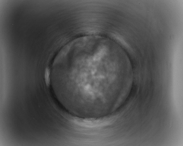 X0000088690022200706141420