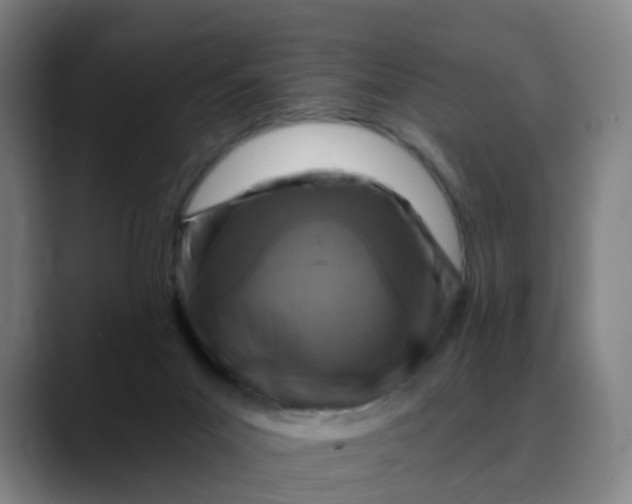 X0000088690023200706141420