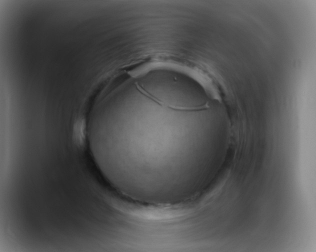 X0000088690024200706141420