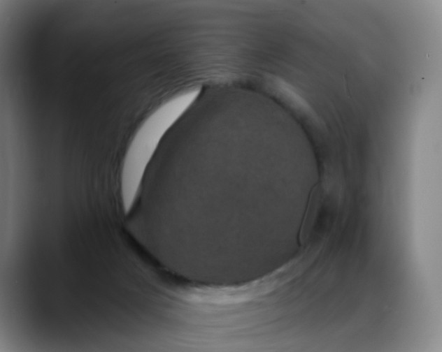 X0000088690025200706141420