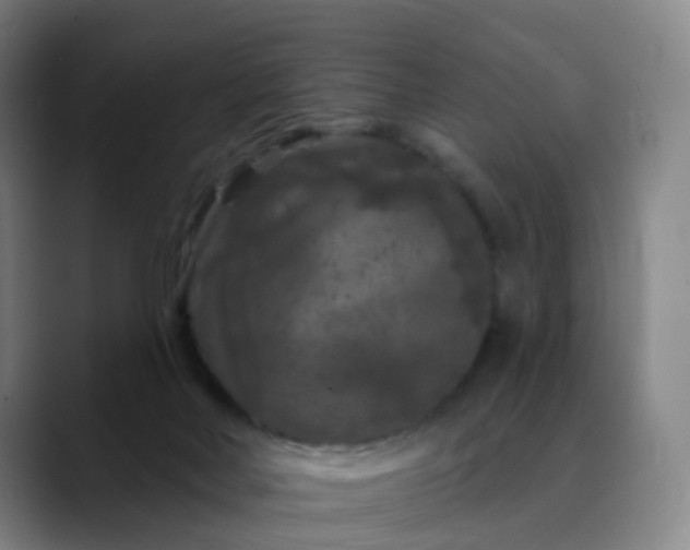 X0000088690026200706141420