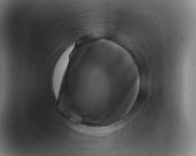 X0000088690027200706141420