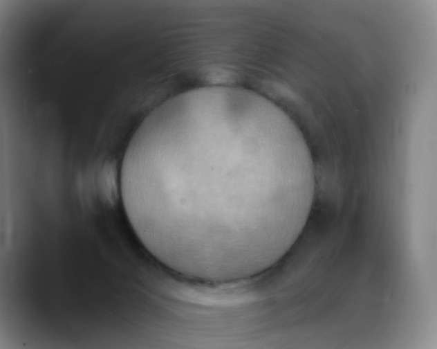 X0000088690028200706141420