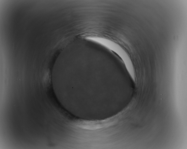 X0000088690029200706141420