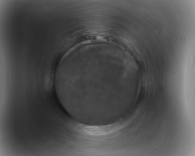 X0000088690030200706141420