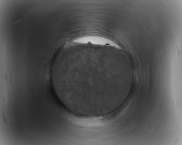 X0000088690032200706141420