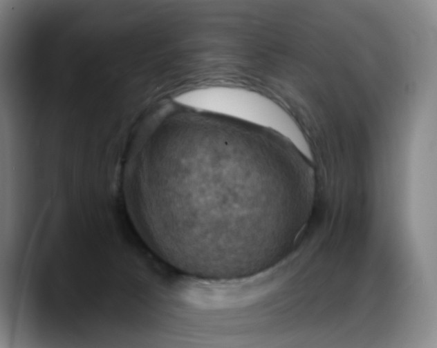 X0000088690033200706141420