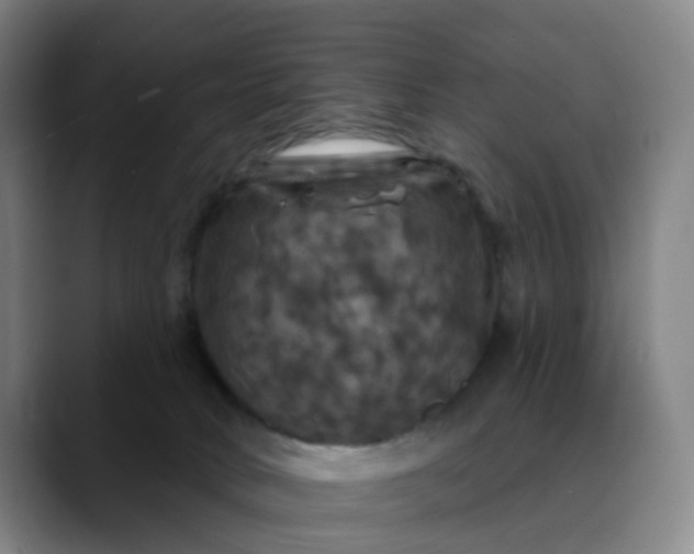 X0000088690034200706141420