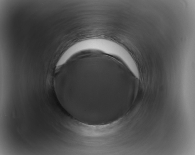X0000088690035200706141420